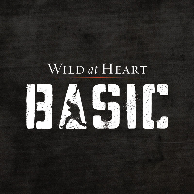 Wild at Hart BASIC