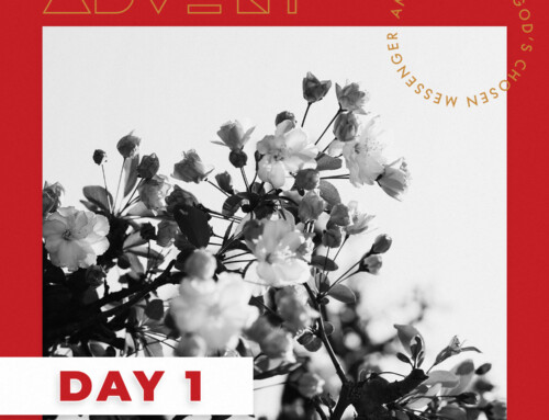 Advent Day 1